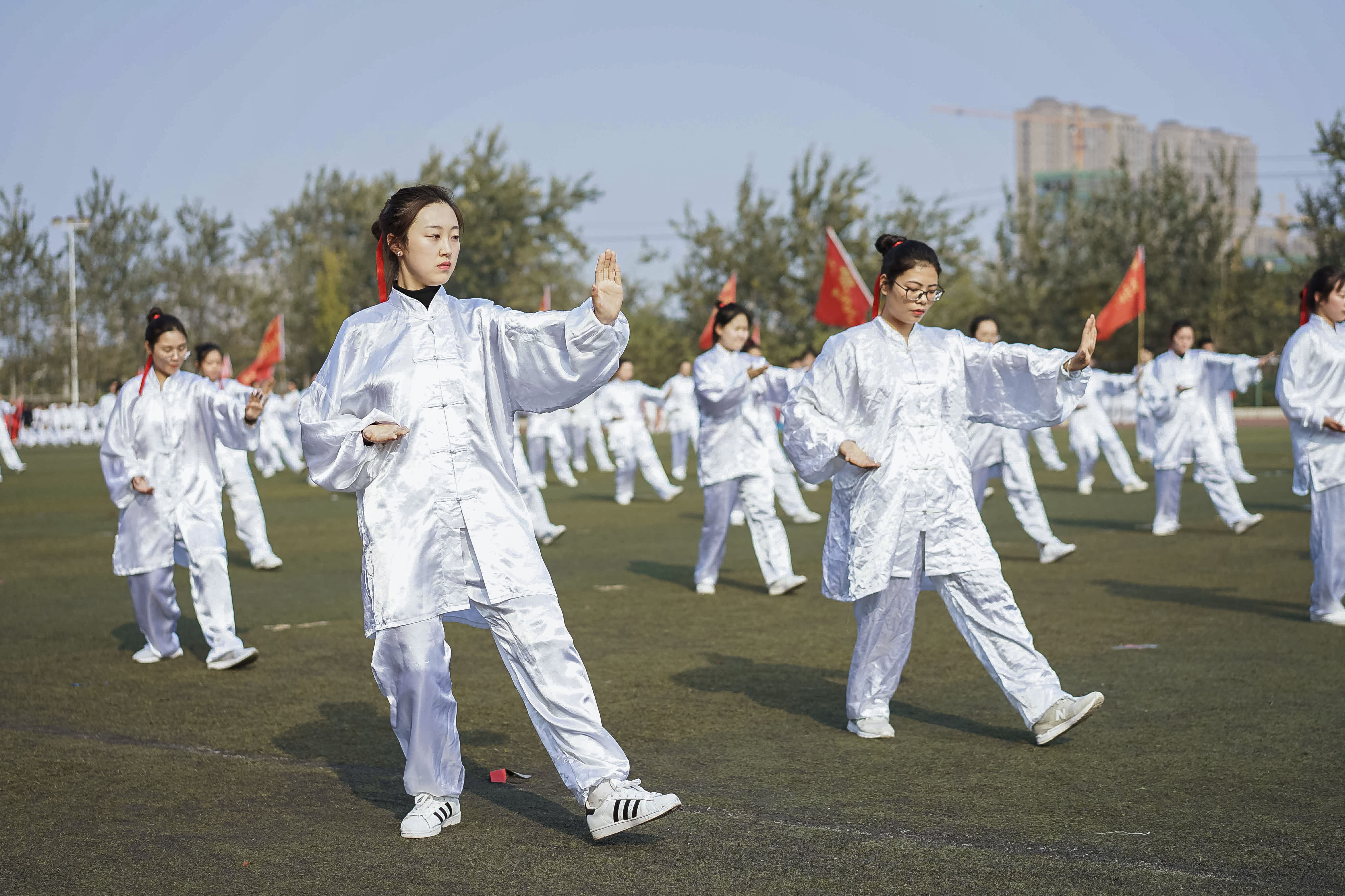 女性人物练习太极和气功作为中国武术的内在向量集插画图片素材_ID:432550626-Veer图库